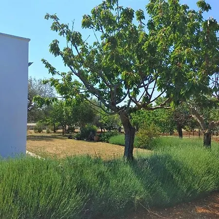 Sant'oceano Vila *